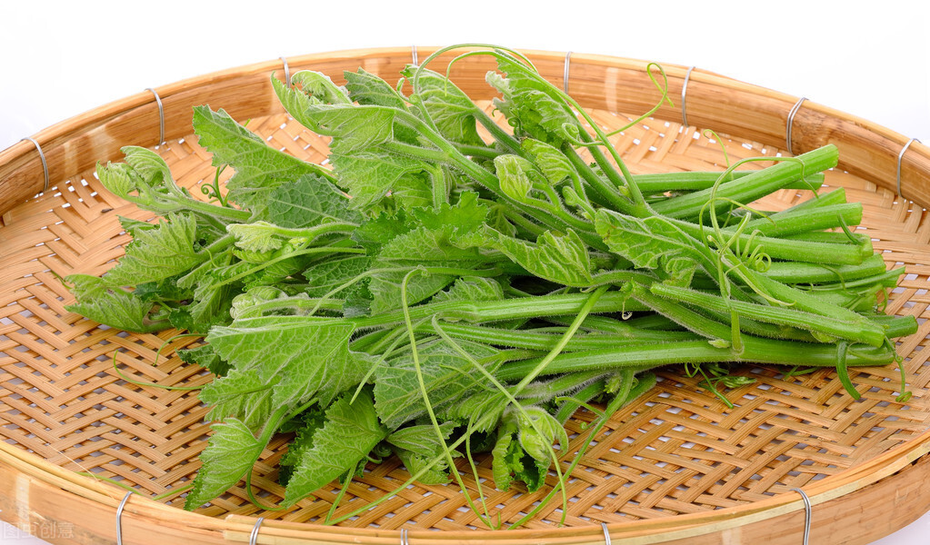種這種綠葉菜，栽培輕松，畝產值過萬元，菜農表示很劃算